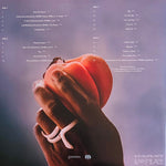 Usher : Coming Home (2xLP, Album, Bon)