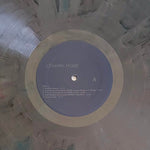 Usher : Coming Home (2xLP, Album, Bon)