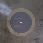 Usher : Coming Home (2xLP, Album, Bon)