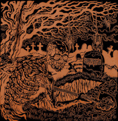 Wan - Desenterrar el pasado (Vinilo)