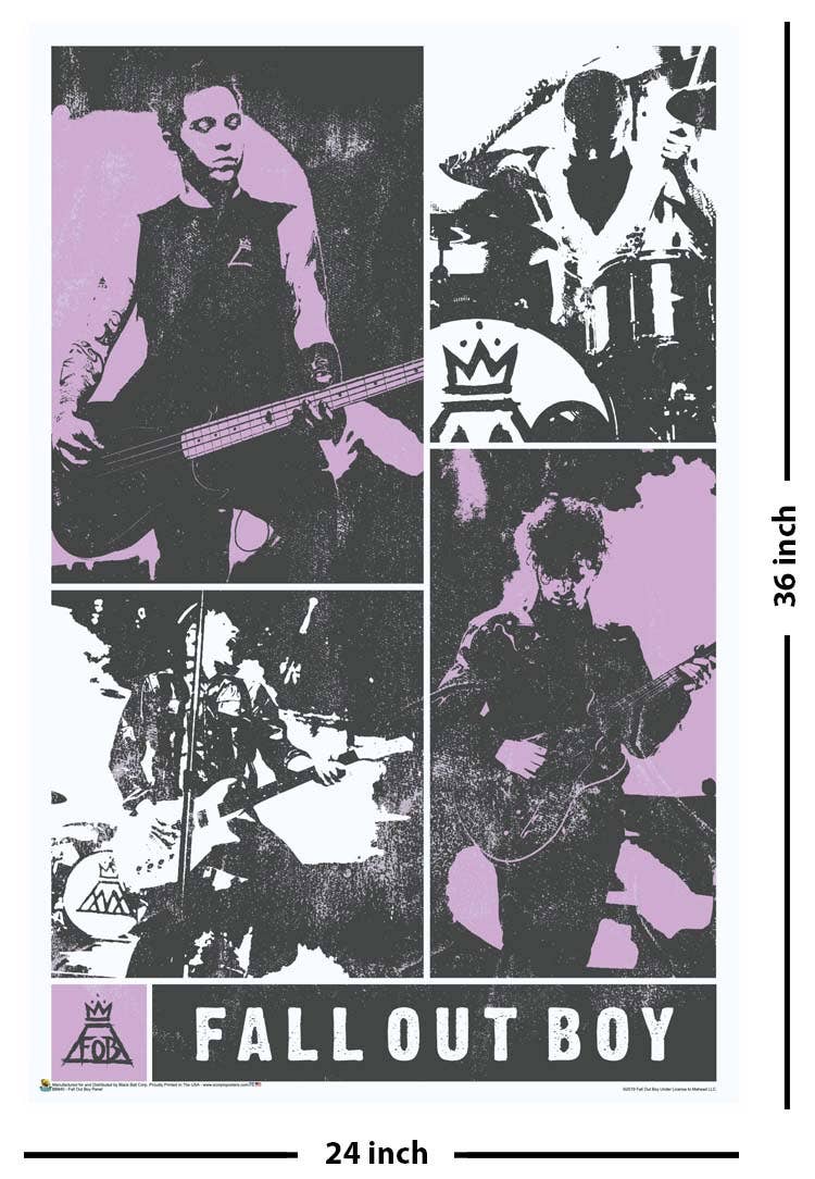 Fall Out Boy Panel Poster - 24" X 36"