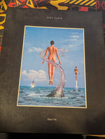 Pink Floyd : Shine On (Box, Comp, RM, Fir + CD, Album, RE + CD, Album, RE)