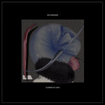 Ian Drennan - Flower of Love (Vinyl)