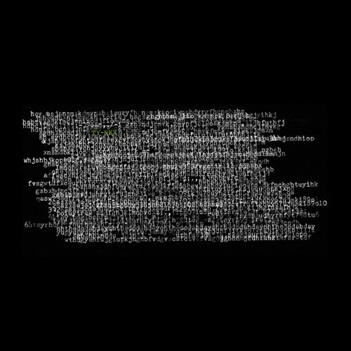 the album cover for Ty Segall - Ty Rex