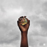 コメット・イズ・カミング - プロフェシー(ビニール盤)