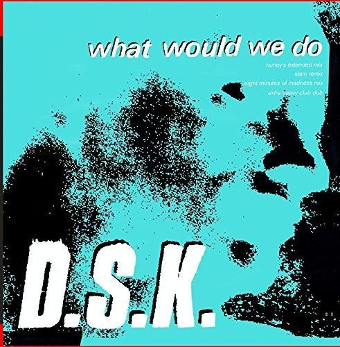 the album cover for DSK - What Would We Do (Junior Boy's Own Mixes)