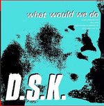 the album cover for DSK - What Would We Do (Junior Boy's Own Mixes)