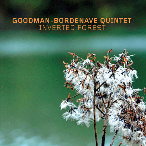 the album cover for Goodman-Bordenave Quintet - Inverted Forest