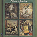 Goose Creek Symphony - Welcome to Goose Creek (CD)
