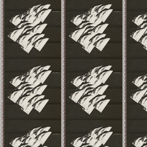 the album cover for Hanz - Reducer