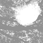 コメッツ・オン・ファイア - フィールド・レコーディングス・フロム・ザ・サン (レコード)