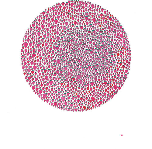 the album cover for Julia Brown - An Abundance of Strawberries