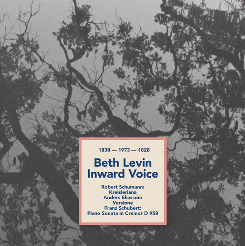 the album cover for Eliasson / Levin - Inward Voice