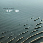 the album cover for Scekic / Zgur / Scekic - Scekic: Just Music