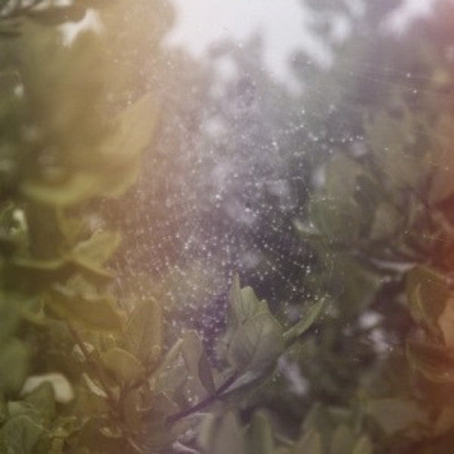 ポッセ - パーフェクトH / ヴォイセズ (レコード)