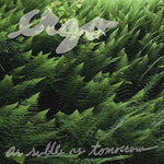 the album cover for Ergo - As Subtle As Tomorrow