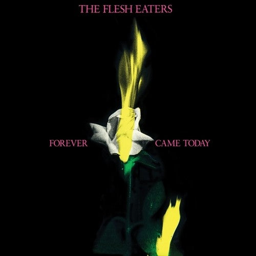 the album cover for The Flesh Eaters - Forever Came Today