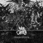 the album cover for Ritual Chamber - Obscurations (To Feast on the Seraphim)