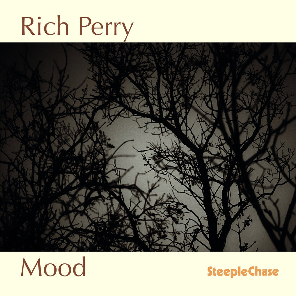 the album cover for Peter Sommer (Saxophone) - Mood