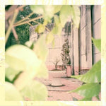 the album cover for Gsta Berlings Saga - Sersophane