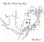 the album cover for Clap Your Hands Say Yeah - The Tourist