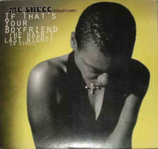 Me'Shell NdegéOcello : If That's Your Boyfriend (He Wasn't Last Night) (CD, Single)