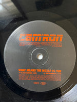 Cam'ron : What Means The World To You (12", Promo)