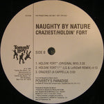 Naughty By Nature : Craziest (12", Promo)