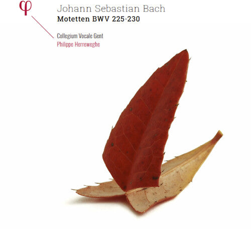 Johann Sebastian Bach: Motetten BWV 225-230 (Vinilo)