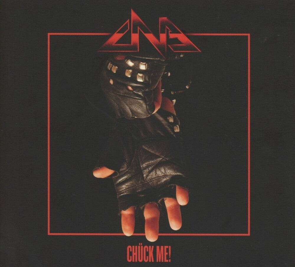 the album cover for Chuck Norris Experiment - Chuck Me