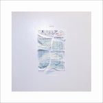 the album cover for Lushes - Service Industry