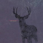 the album cover for Cold Body Radiation - Deer Twillight