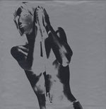 Iggy And The Stooges* : Raw Power (The 7-Inch Edition) (7", Bro + 7", Red + 7" + 7", Min + 2x7", EP, Sil +)