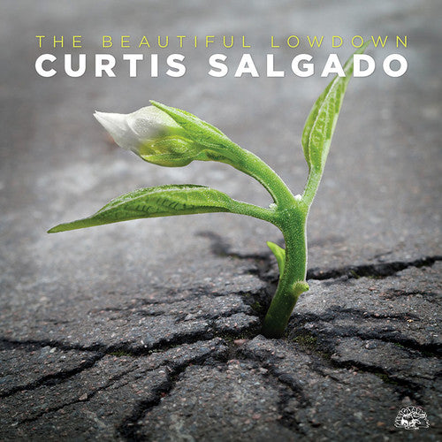 Curtis Salgado - The Beautiful Lowdown (CD)