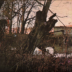 Black Sabbath : Black Sabbath (LP, Album, Gat)