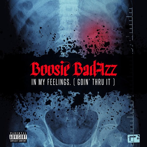 Boosie Badazz - En mis sentimientos (Pasándolo mal) (CD)