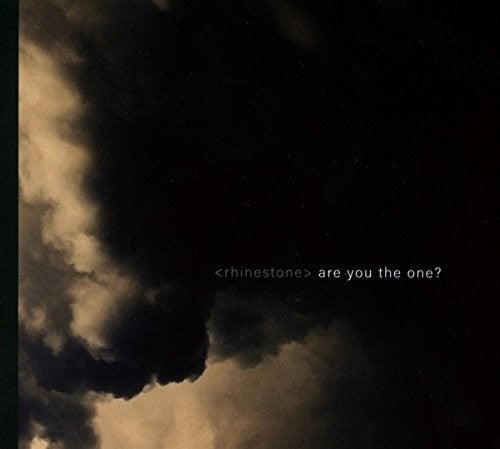 the album cover for Liquid Newt / Frank Spinath M - Spinath