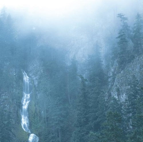 ウルヴズ・イン・ザ・スローン・ルーム - ディアデム・オブ・12・スターズ (ビニールレコード)