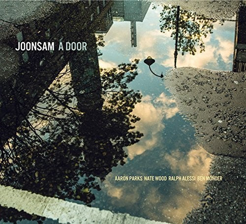 the album cover for Joonsam - Door