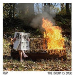 the album cover for Pup - The Dream Is Over