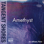 the album cover for Talia Amar / Cionco,Richard / Jeffryes,Jai - Amethyst - Tangent Shores