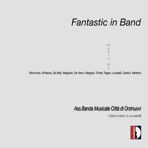 Fantastic in Band (CD)
