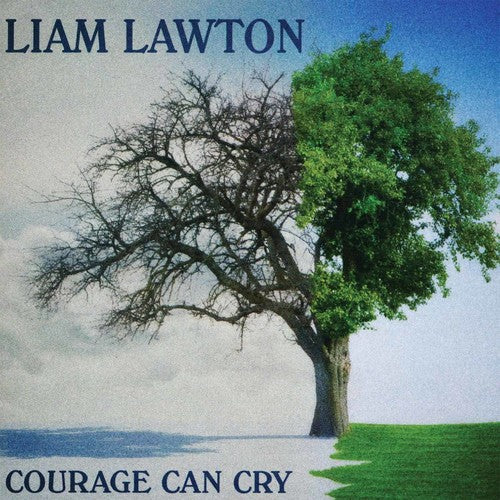 the album cover for Liam Lawton - Courage Can Cry