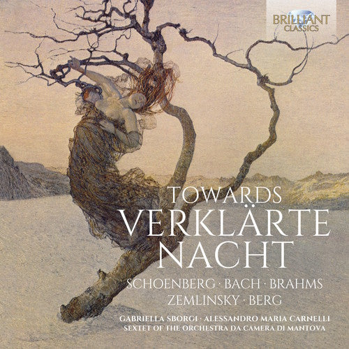 the album cover for Gabriella Sborgi / Carnelli,Alessandro Maria - Towards Verklarte Nacht