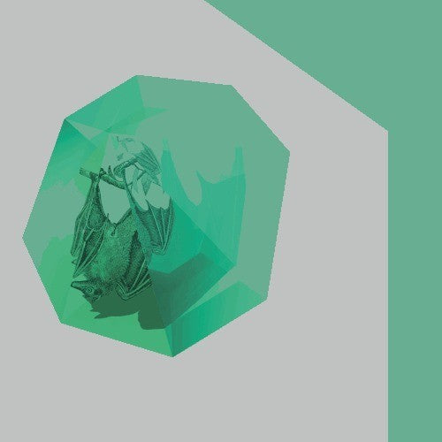 the album cover for Bichkraft - Shadoof