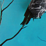 the album cover for Tangents - Stateless