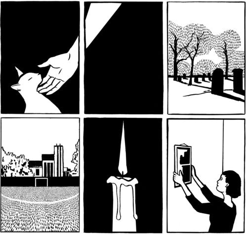 PAWS - No Grace (Vinyl)