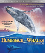 Imax: Ballenas jorobadas (4K Ultra HD)