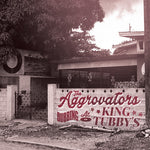 the album cover for Aggrovators - Dubbing At King Tubby's