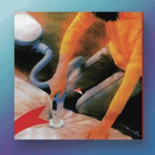 the album cover for Eyes Of Love - Why Do You Look Like Your Dog?